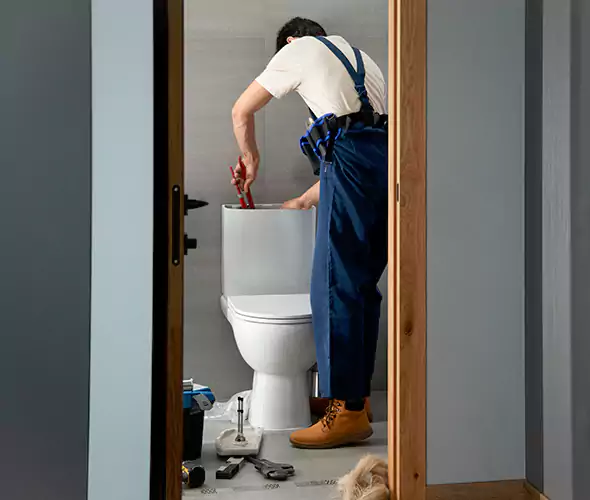 Professional Plumbers for Toilet Bowl Replacement in Dalton, GA: Schedule Affordable Toilet Replacement Services With Us