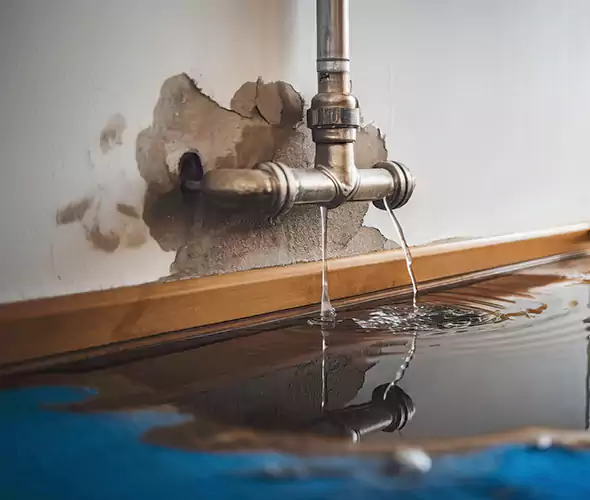 Professional Water Damage Restoration Experts in Dalton, GA — Fast, Reliable & Certified