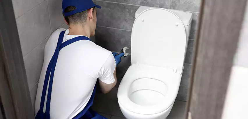 Toilet Lid Replacement in Dalton