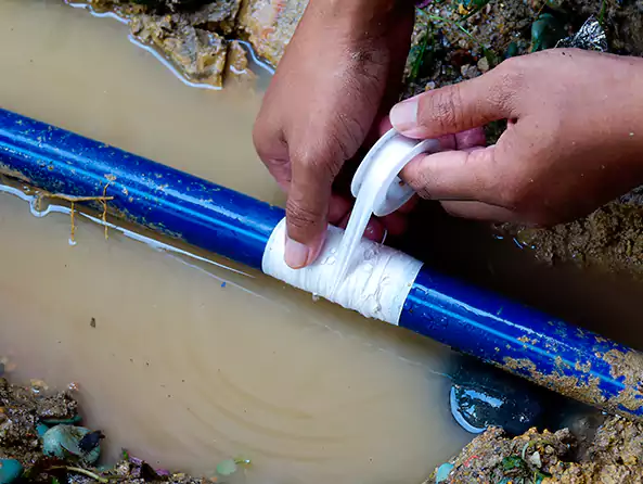  Why Choose Dalton's Plumbing for Leak Detection in Dalton, GA?]